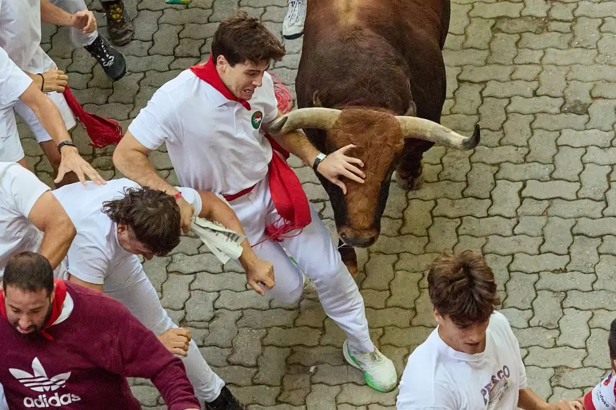 Doi răniți grav, în timpul ultimei curse de tauri a Festivalului San Fermin din Pamplona
