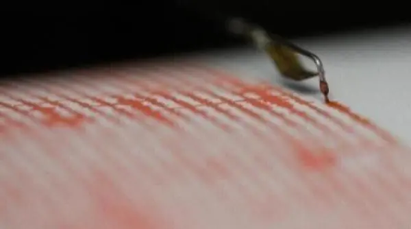 Cutremur în România: Seismul a fost resimțit și în București