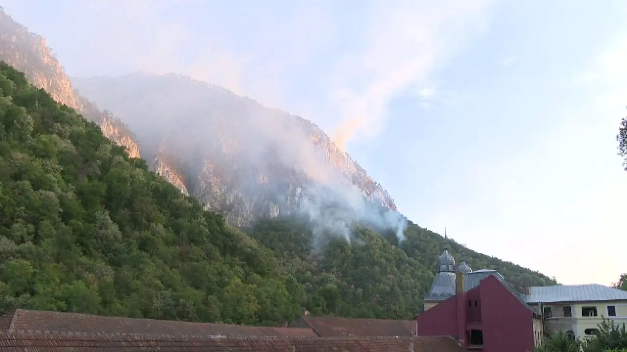 Dosar penal pentru modul în care au fost gestionate incendiile din Parcul Domogled