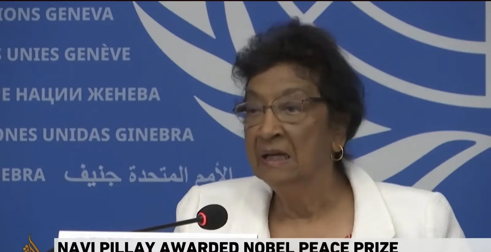 Navi Pillay: Avertismentul pentru drepturile omului în era amenințărilor