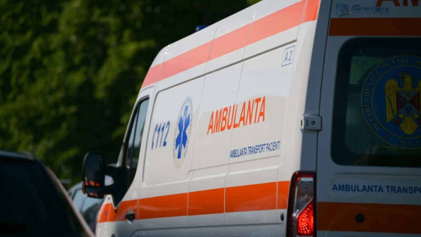 Tragedie în Botoșani: Un inginer silvic a murit după ce a fost lovit de o creangă într-o unitate militară